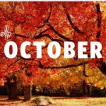 Top 10 Bài thơ hay về tháng 10