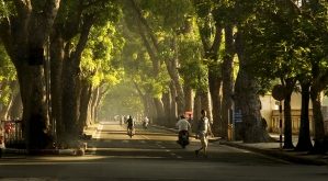 Top 10 Con đường đẹp nhất ở Hà Nội để bạn đi lượn