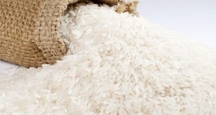 Top 10 Công ty xuất khẩu gạo hàng đầu Việt Nam
