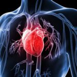 Top 10 Loại thuốc bổ cho tim mạch tốt nhất hiện nay
