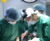 Top 11 Địa chỉ phẫu thuật nâng ngực uy tín nhất tại Hà Nội