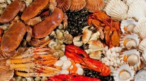 Top 12 Quán hải sản tươi sống ngon và rẻ nhất Cần Thơ