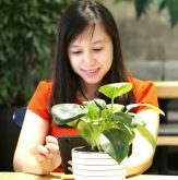 Top 20 Bài thơ hay của nhà thơ Hạ Như Trần