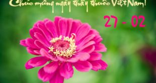 Top 20 Lời chúc 27/2 ngày thầy thuốc Việt Nam hay và ý nghĩa nhất