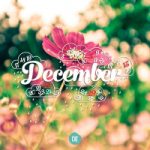 Top 26 Bài thơ hay viết về tháng 12