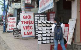 Top 4 Trung tâm giới thiệu việc làm uy tín và chất lượng nhất tại Quy Nhơn, Bình Định