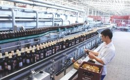 Top 5 Công ty sản xuất bia lớn tại Hà Nội