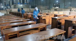 Top 5 Công ty sản xuất chuyên gỗ chất lượng nhất tại Bình Định