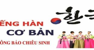 Top 5 Trung tâm dạy tiếng Hàn tốt ở quận Đống Đa, Hà Nội