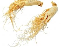 Top 7 Cửa hàng bán nhân sâm Hàn Quốc uy tín ở Hà Nội