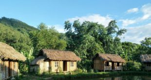Top 7 Homestay đẹp nhất tại Ba Vì – Hà Nội