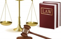 Top 7 Trường đào tạo cử nhân Luật tốt nhất Hàn Quốc