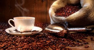 Top 8 Máy xay cà phê chất lượng nhất hiện nay