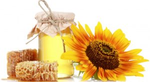Top 8 Sản phẩm sữa ong chúa chất lượng, được tin dùng nhất hiện nay