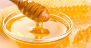 Top 8 địa chỉ bán mật ong nguyên chất chất lượng nhất tại Hà Nội