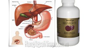 Top 9 Viên uống bổ gan, giải độc gan hiệu quả nhất hiện nay