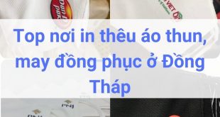 Địa chỉ may, in thêu đồng phục áo thun ở Đồng Tháp