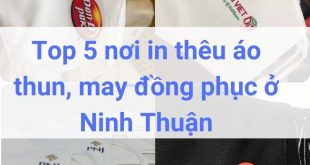 Địa chỉ may, in thêu đồng phục áo thun ở Ninh Thuận