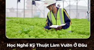 trường dạy nghề làm vườn tại nghệ an