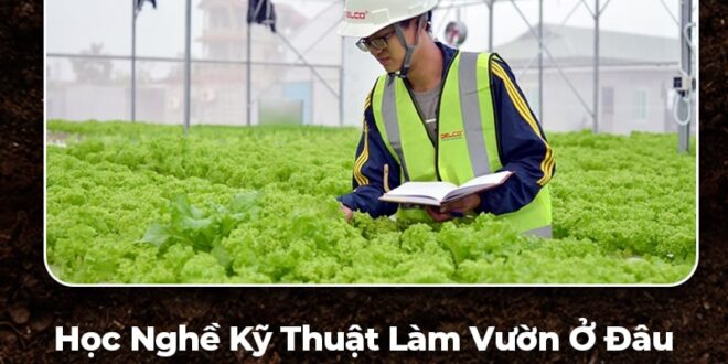 trường dạy nghề làm vườn tại nghệ an
