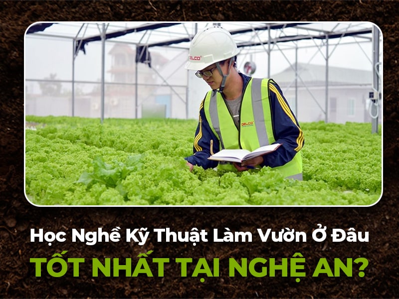 trường dạy nghề làm vườn tại nghệ an